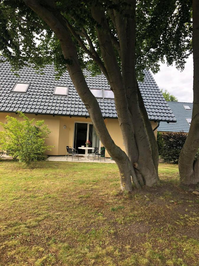 Ferienwohnung 'Bei Den Buchen' Zempin Exterior foto